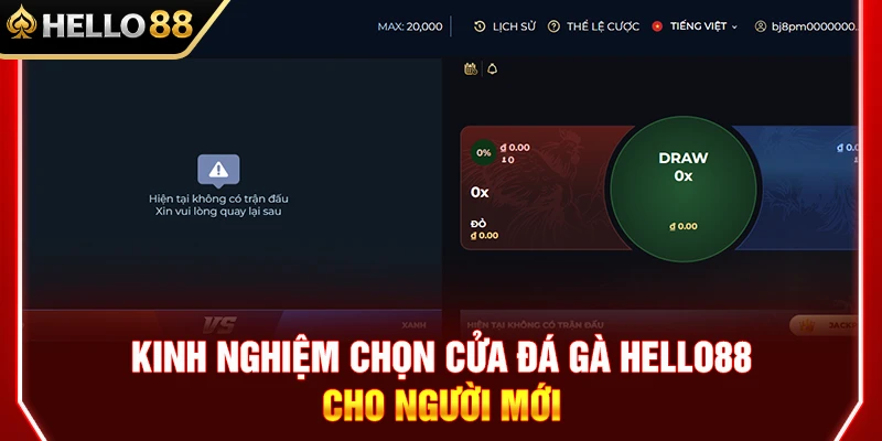 Kinh Nghiệm Chọn Cửa Đá Gà HELLO88 Cho Người Mới