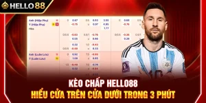 Kèo Chấp HELLO88 – Hiểu Cửa Trên Cửa Dưới Trong 3 Phút