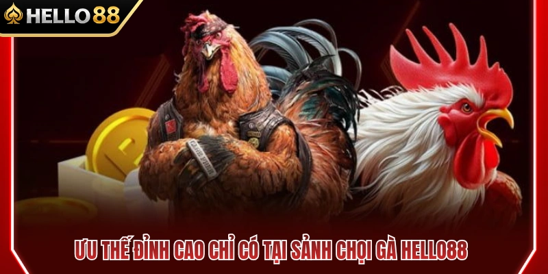 Giá trị vượt trội khác biệt của sảnh cược đá gà HELLO88 