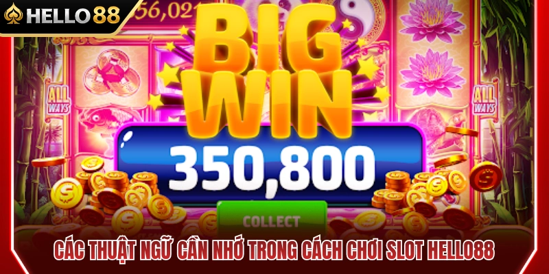 Tổng hợp thuật ngữ quan trọng khi chơi slot HELLO88 