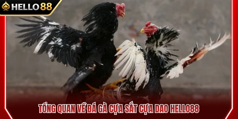 Tổng quan về đá gà cựa sắt cựa dao HELLO88 